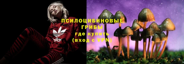 крисы Вязники