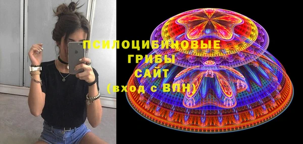 крисы Вяземский