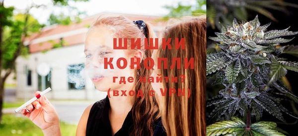 крисы Вяземский