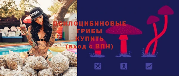 крисы Вяземский